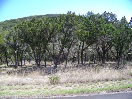 Farm Property in Medina County, Texas