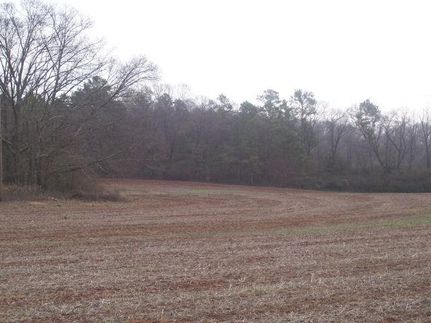 Ranch Property in Franklin County, Georgia