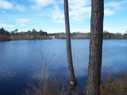 Farm Property in Bulloch County, Georgia