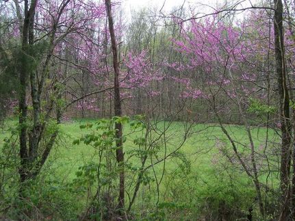 Ranch Property in Whitfield County, Georgia