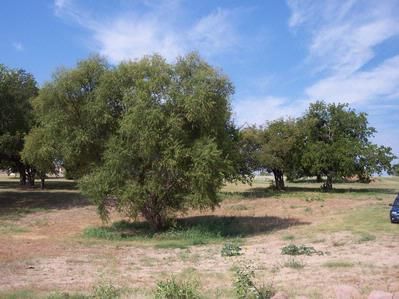 Farm Property in Llano County, Texas