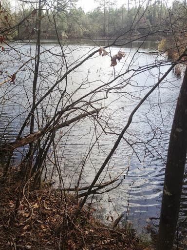 Farm Property in Covington County, Mississippi
