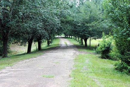 Farm Property in Newton County, Mississippi