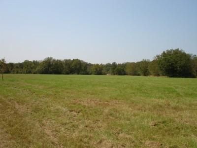 Farm Property in Leon County, Texas