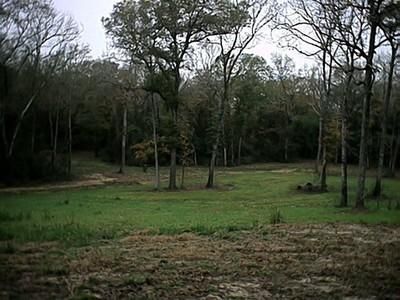 Farm Property in Leon County, Texas