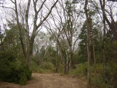 Farm Property in Freestone County, Texas