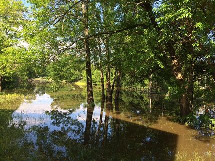 Farm Property in Walker County, Texas