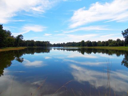 Ranch Property in Leon County, Texas