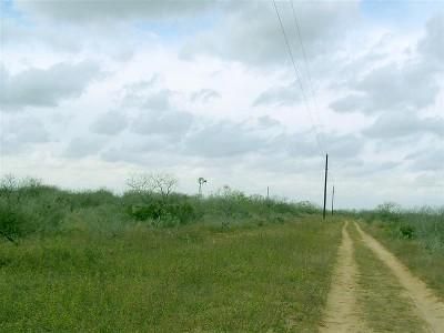 Property in Duval County, Texas