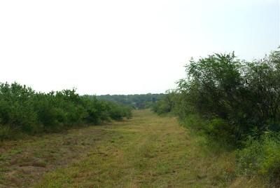Farm Property in Live Oak County, Texas