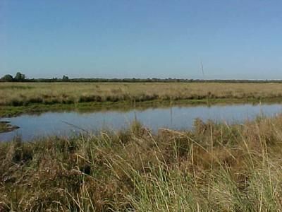 Property in Chambers County, Texas