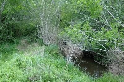 Property in Live Oak County, Texas