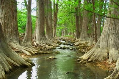 Farm Property in Kerr County, Texas