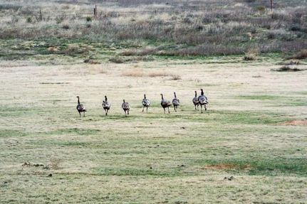 Farm Property in Meade County, Kansas