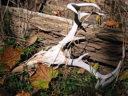 Farm Property in Major County, Oklahoma