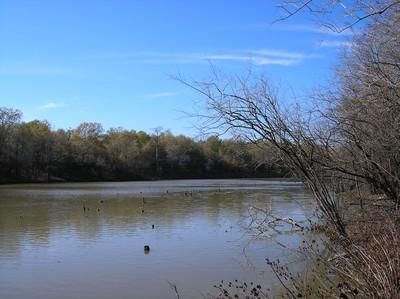 Waterfront Property in Catahoula Parish, Louisiana