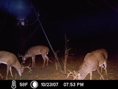 Property in Comanche County, Kansas