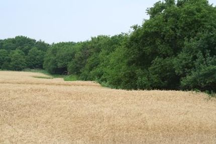 Property in Sumner County, Kansas