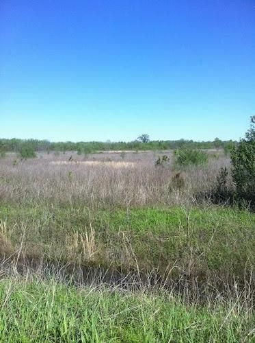 Waterfront Property in Madison Parish, Louisiana