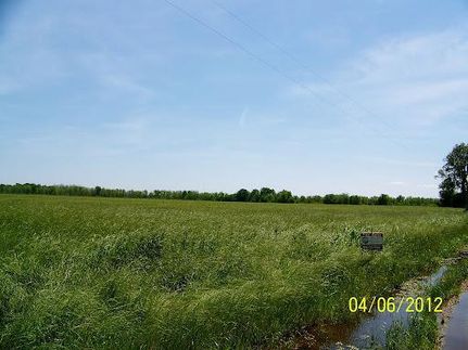 Waterfront Property in West Carroll Parish, Louisiana