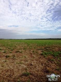 Property in Catahoula Parish, Louisiana