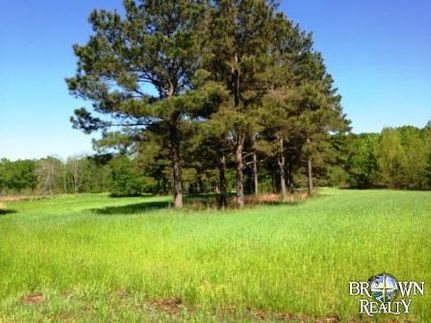 Ranch Property in Richland Parish, Louisiana