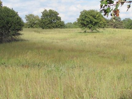 Farm Property in Okfuskee County, Oklahoma