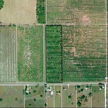 Farm Property in Hardee County, Florida