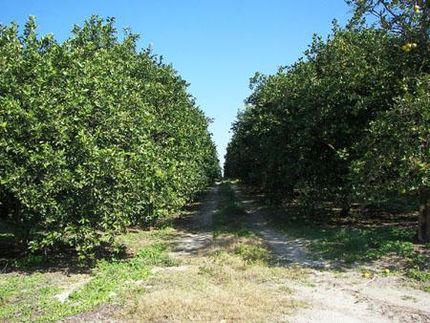 Waterfront Property in Polk County, Florida