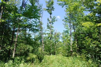 Ranch Property in Oswego County, New York