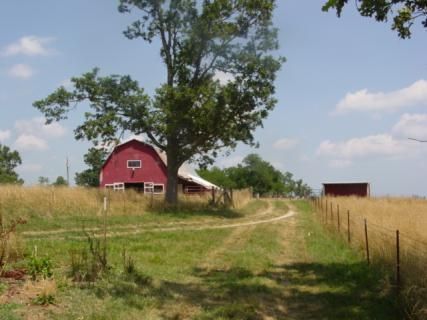 Farm Property in Newton County, Arkansas