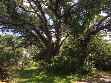 Farm Property in Erath County, Texas