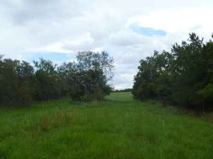 Farm Property in Lavaca County, Texas