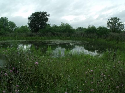 Property in Medina County, Texas