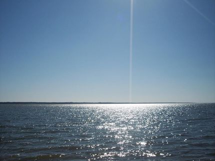 Property in Navarro County, Texas