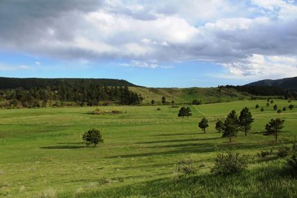 Horse Property in Douglas County, Colorado