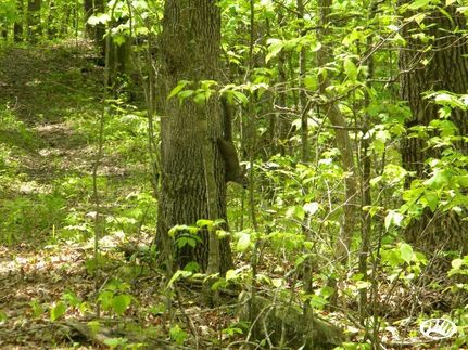 Property in Pulaski County, Kentucky