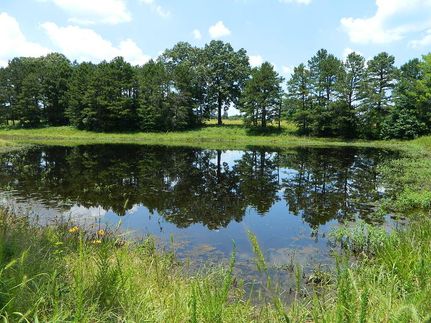 Property in Morris County, Texas