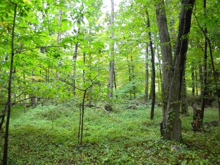 Commercial Property in Ulster County, New York