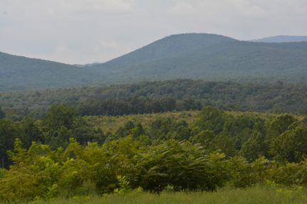 Farm Property in Nelson County, Virginia