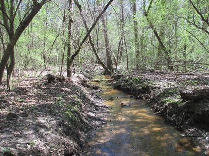 Farm Property in Covington County, Alabama