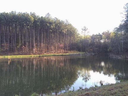 Property in Tallapoosa County, Alabama