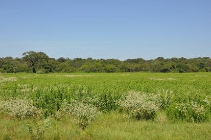 Ranch Property in Atascosa County, Texas