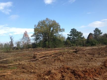 Farm Property in Bartow County, Georgia