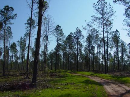 Property in Pike County, Georgia