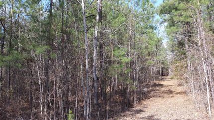 Ranch Property in Taliaferro County, Georgia