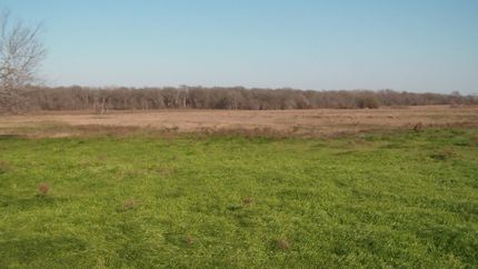 Farm Property in Falls County, Texas