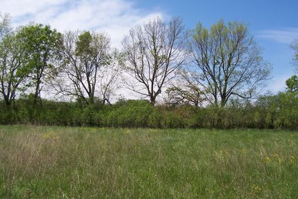 Farm Property in Cass County, Missouri