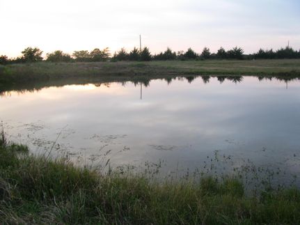Farm Property in Red River County, Texas