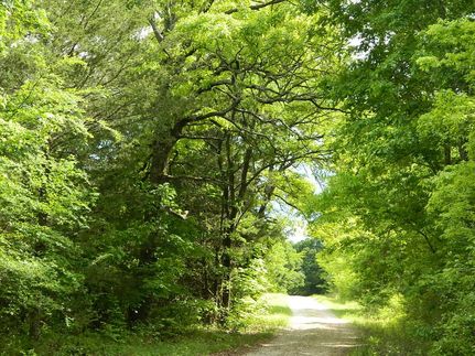 Farm Property in Red River County, Texas